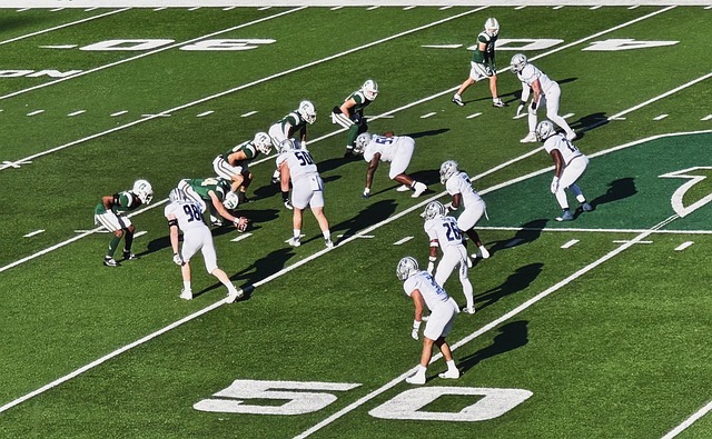 的成功案例 的成功案例