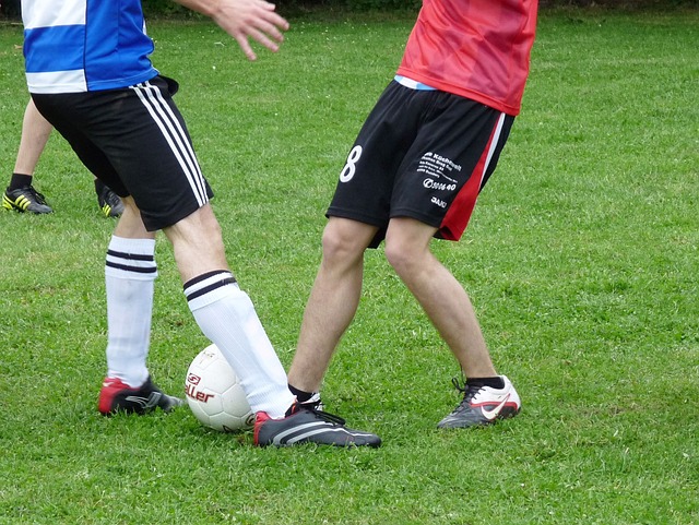 足以把自己 足以把自己