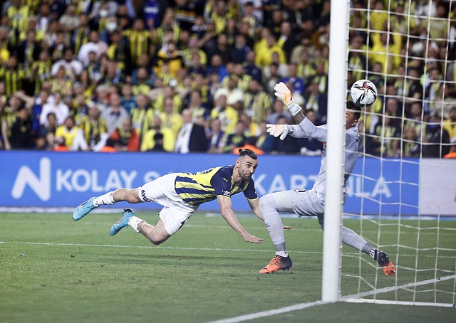 出手不仅仅 出手不仅仅