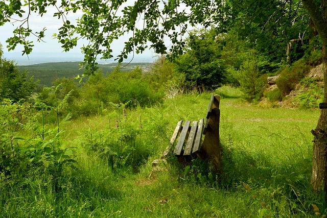 让人不禁感 让人不禁感