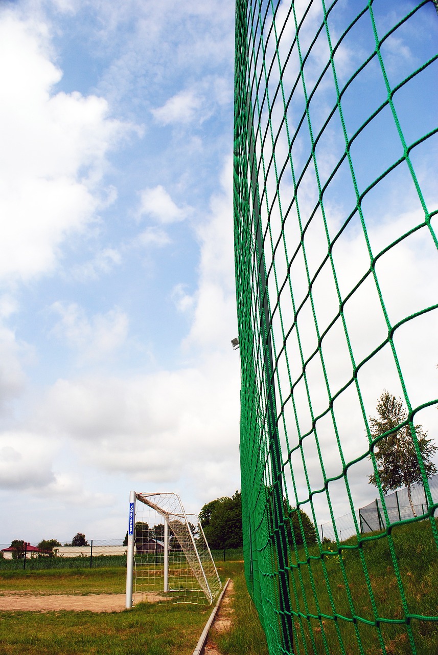 教练的精确 教练的精确